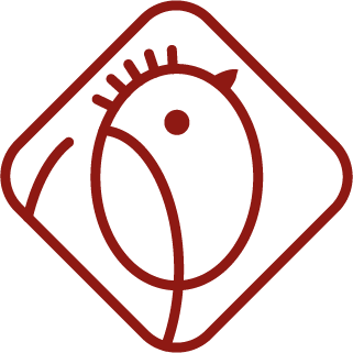 Quetzal Graphic Design